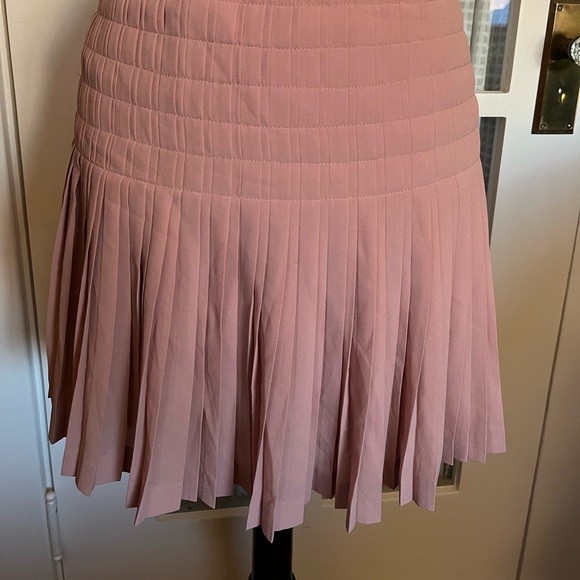 Lovely J Crew Skirt - Picture 8 of 9